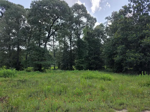 1038 County Road 173, Jasper, TX 75951