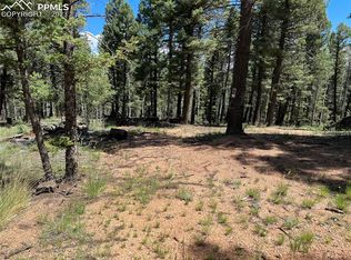 24 Serenity Cir, Florissant, CO 80816