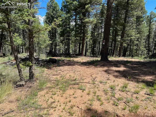 24 Serenity Cir, Florissant, CO 80816