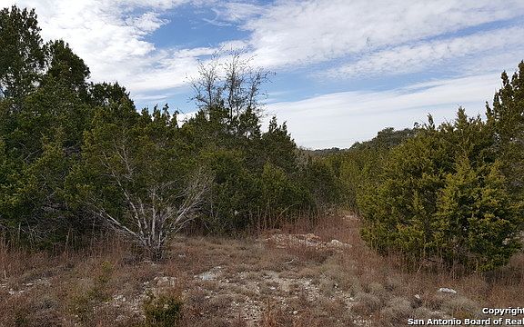 2nd image of 210 White Tail Ln