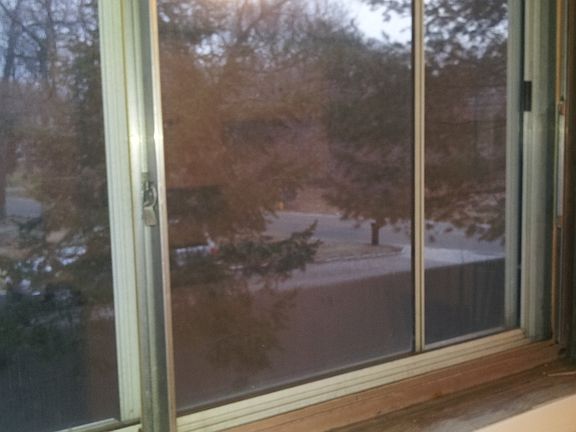 view from kitchen