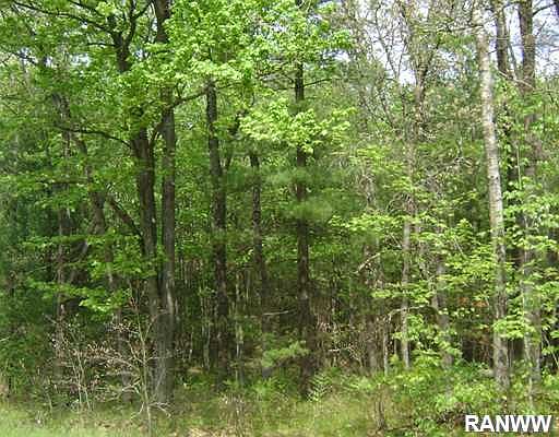 2nd image of 0 Sperber Road