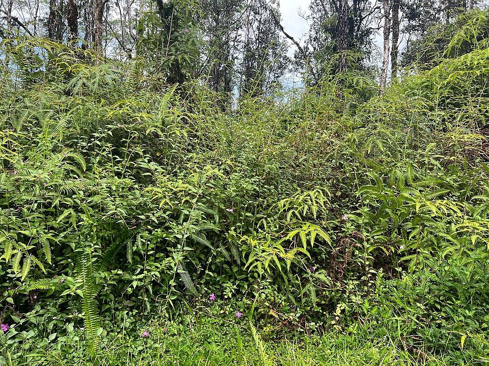 2nd image of Plumeria Rd Lot 167