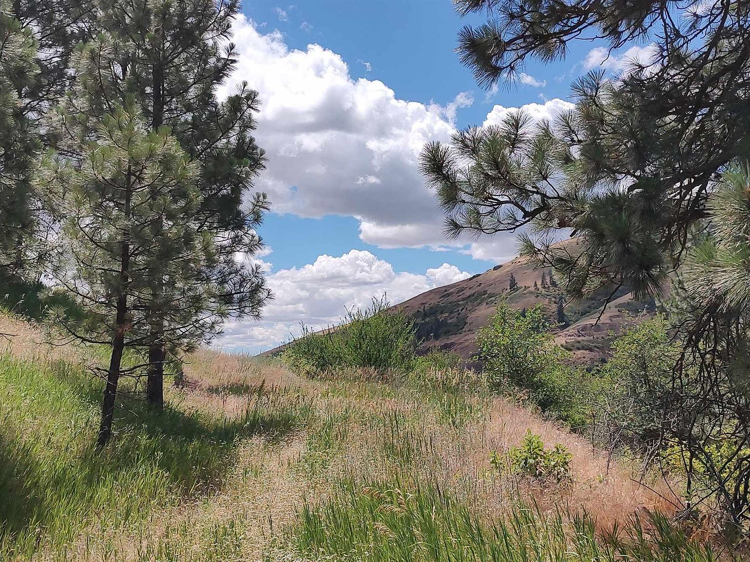 Redberry Ln, Juliaetta, ID 83535 MLS 98916843 Zillow