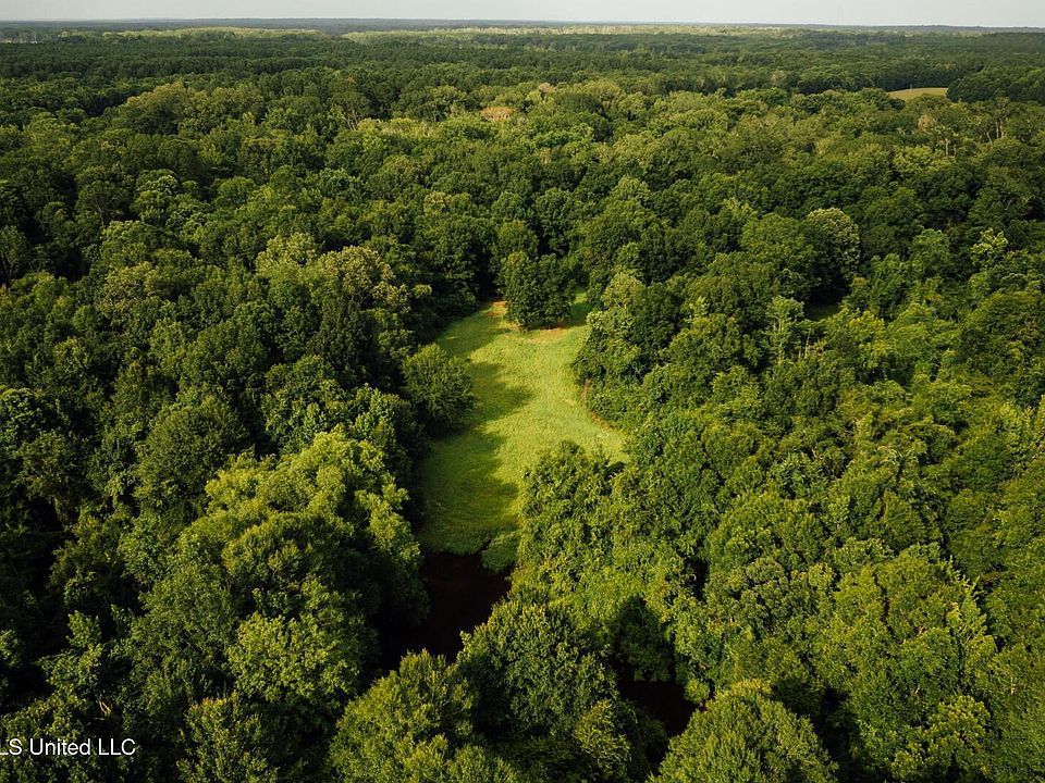 16th image of this home