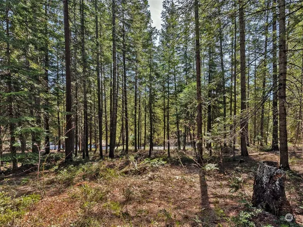 0 Kinnikinnick Drive, Leavenworth, WA 98826