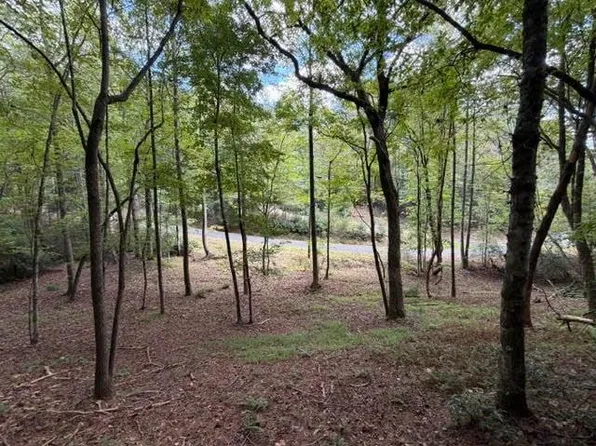 133 Seneca Dr #133, Ellijay, GA 30540