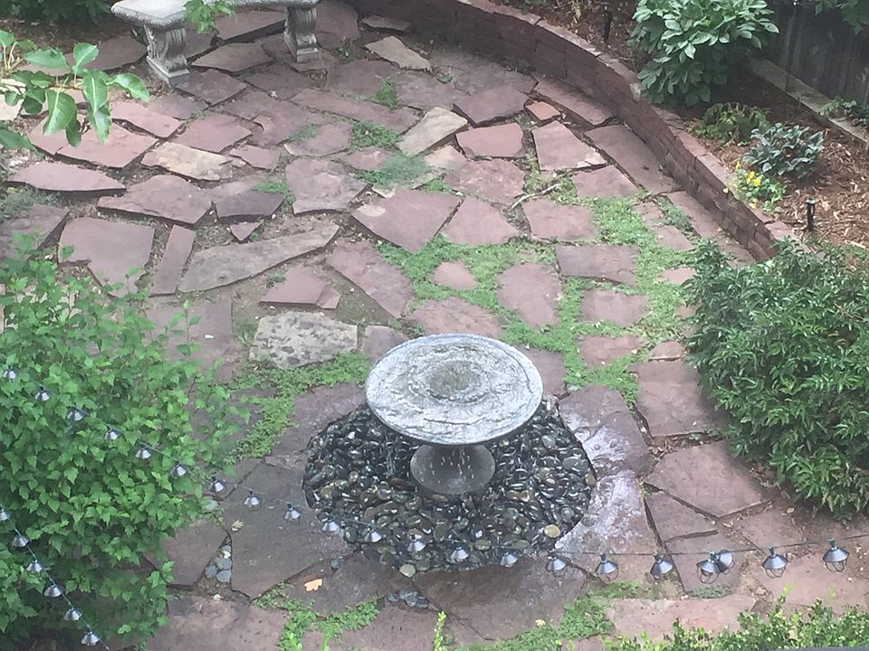 Backyard & water feature