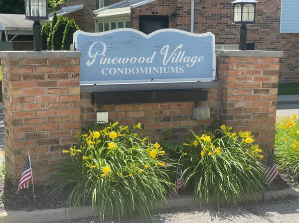 113 Pinewood Cir, Plymouth, MI 48170