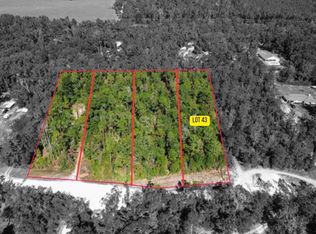 43 SW Kentucky St LOT 43, Fort White, FL 32038