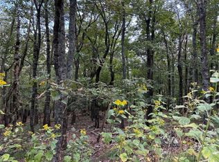 0 Little Hendricks Mountain Cir #290, Jasper, GA 30143