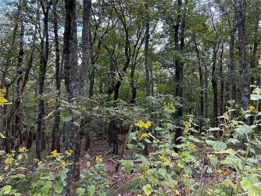 0 Little Hendricks Mountain Cir #290 photo 1