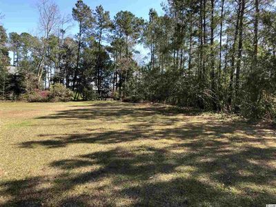 132 Swamp Fox Ln, Georgetown, SC, 29440