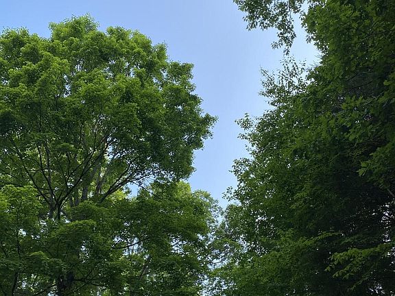 3rd image of 0 Hiwassee View Dr