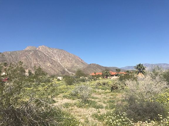 View from back of lot