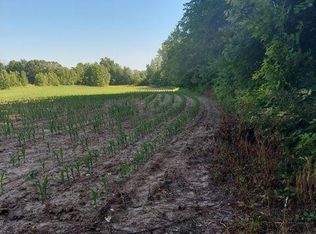 S Centennial Rd, Coldwater, MI 49036