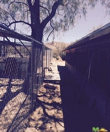 5th image of 50485 Twentynine Palms Hwy
