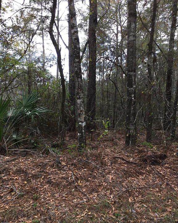 1st image of 396 Compass Lake Dr