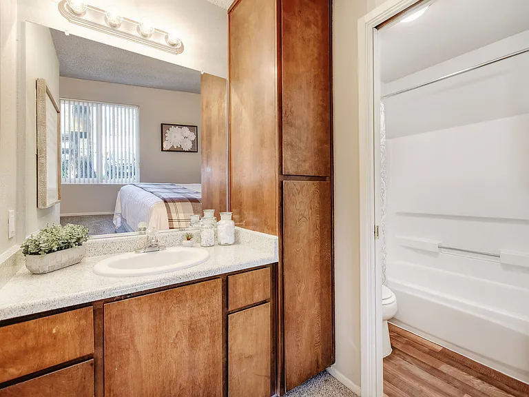 Cove Vanity & Bathroom