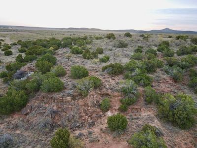 Fm 1065 #1065, Flomot, TX, 79234