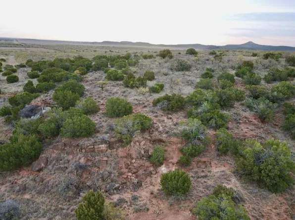 Fm 1065 #1065, Flomot, TX 79234