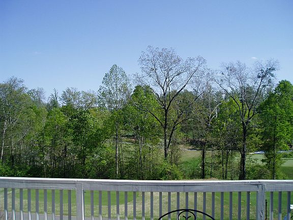 View from Backporch 3