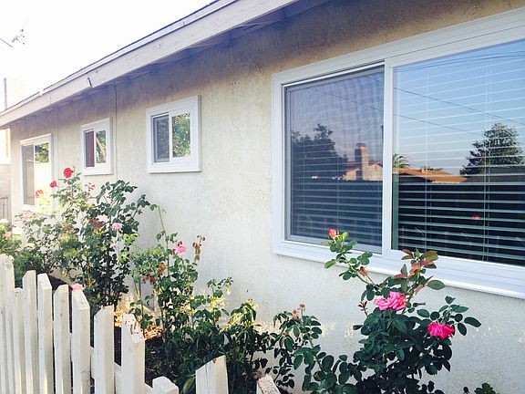 New sparkling clean windows