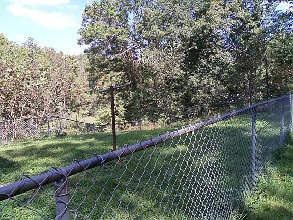 Fenced Back Yard