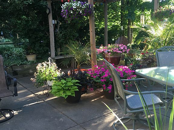 Pergola and patio