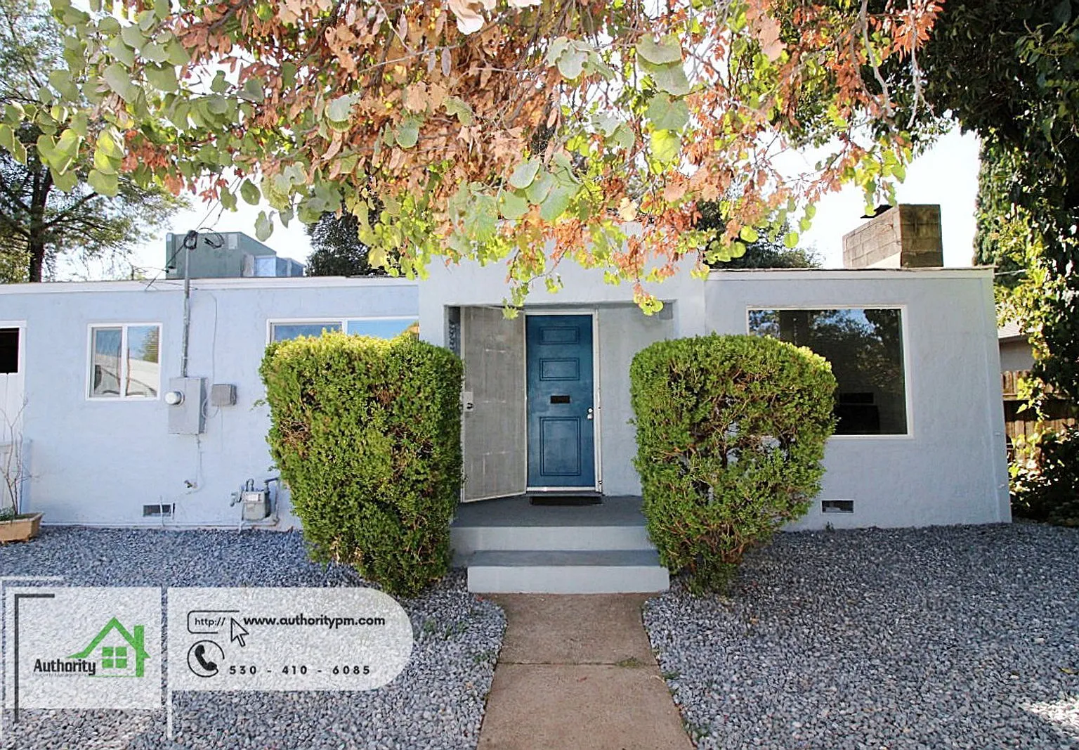 2 bed, 1.0 bath, 1000 sqft, $1,595 — Photo 3