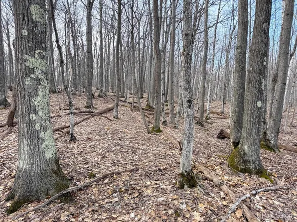 LOT Mohawk Gay Rd #C, Mohawk, MI 49950