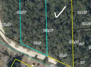  SE 66th Ave, Trenton, FL 32693