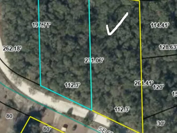 SE 66th Ave, Trenton, FL 32693