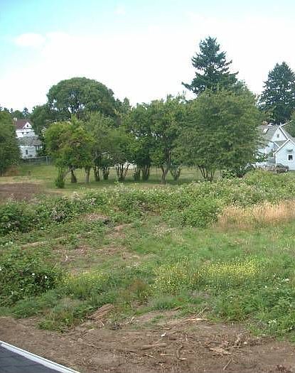 2nd image of 1204 S Trafton St