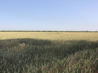 1131 W Bowman Rd, French Camp, CA 95231