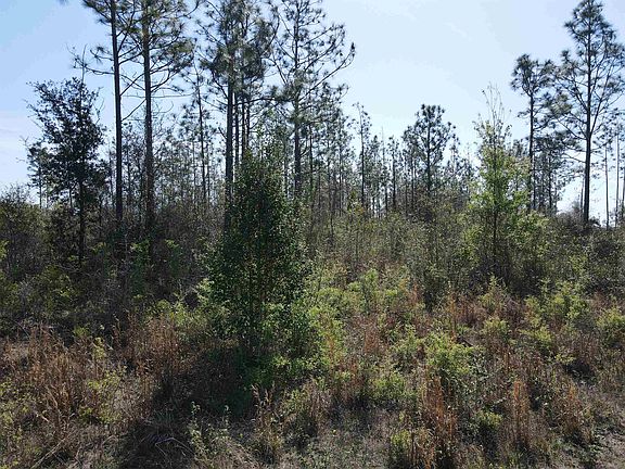 3rd image of SE Colonial Way