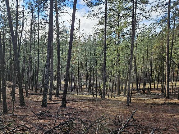 4th image of 5687 Corkscrew Canyon Rd