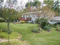 Spacious back yard