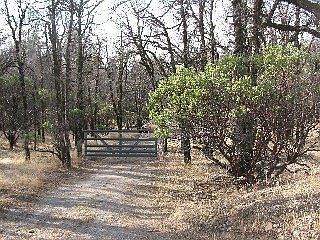 Gate to pasture area