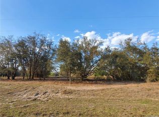 823 E Dellbrook Ln, Citrus Springs, FL 34434