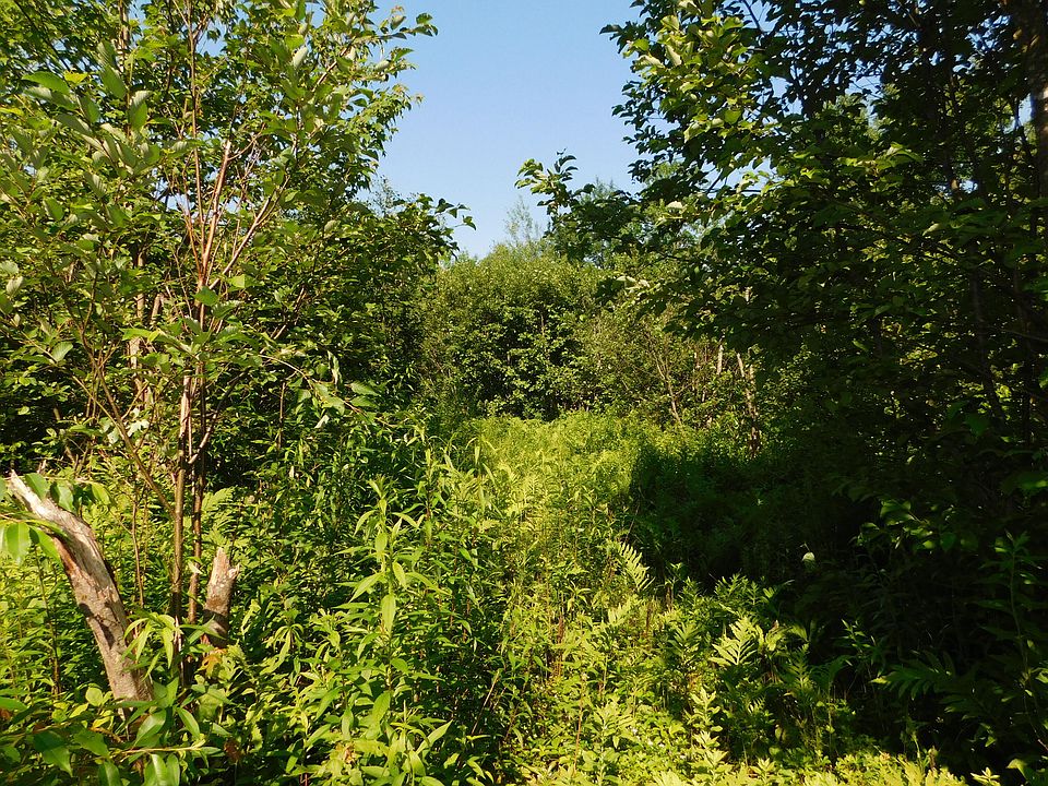 2nd image of lot # 000 Mill Street