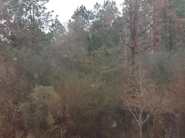 22003 County Road 68 N, Robertsdale, AL 36567