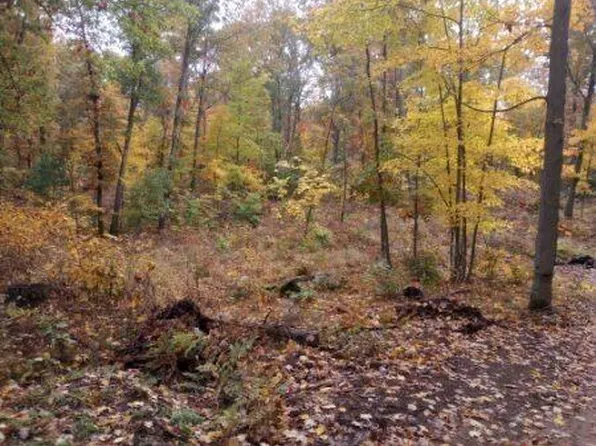 Par A 9 Mile Rd, Stanwood, MI 49346