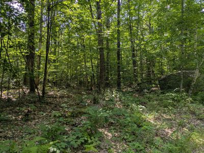 Lot 37 Ward Way, Limerick, ME, 04048