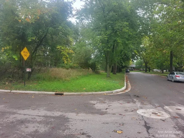 0 Wellington St, Chelsea, MI 48118