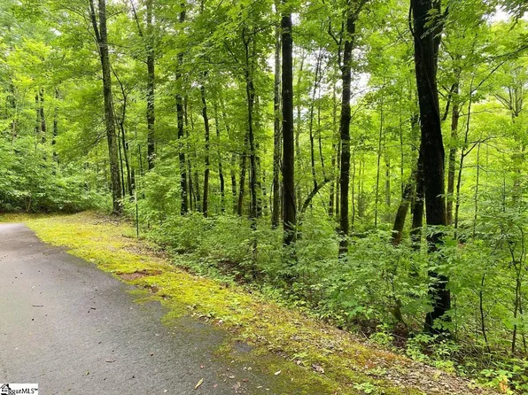 101 Crystal Brook Trl, Travelers Rest, SC 29690