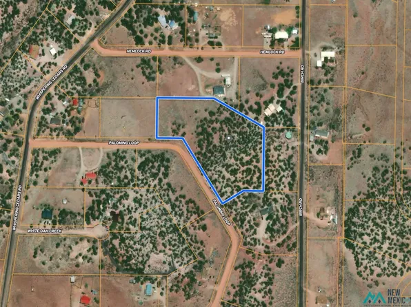 Palomino Loop, Jamestown, NM 87347