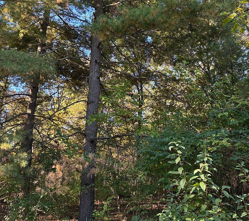 13th image of 1903 Hickory Ln