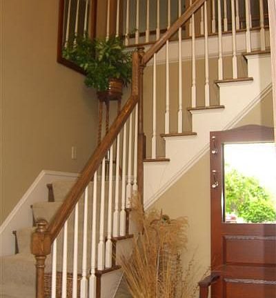 5th image of 487 Saddle Park Ct