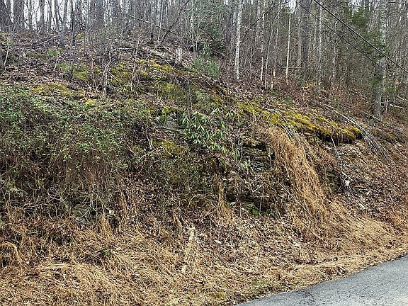 2nd image of LOT 6 Wildcat Ridge Rd